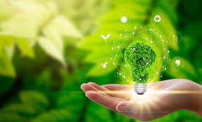 Sustainability and Green Logistics